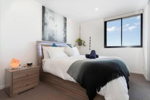 Inner City 1 Bedroom Apartment With Rooftop Pool And Parking - Serain Residences Brisbane Exterior foto